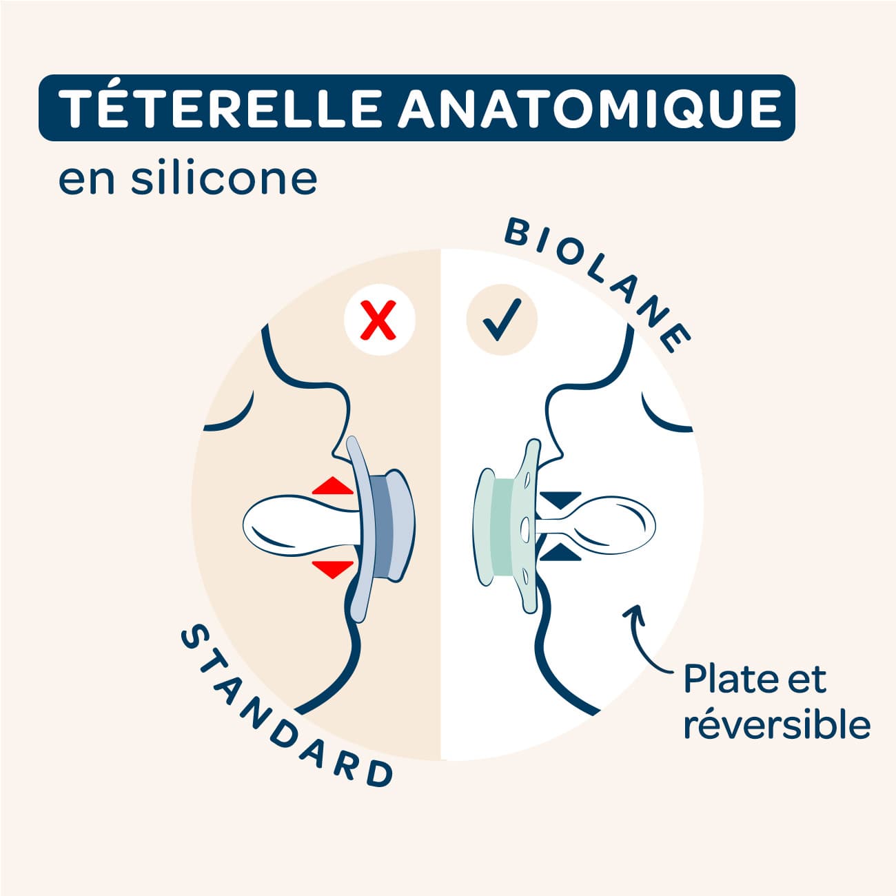 biolane-sucettes-nacht-schnuller-anatomisch-0-6-monate-2-st-ck image 6