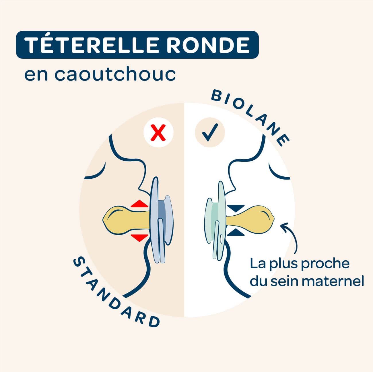 biolane-sucettes-nachtschnuller-0-6-monate-2er-naturkautschuk image 6